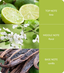 Heart and Home Heart & Home Lime Splash  Twin Wick Ellipse Soy Candle - 40 Hours Burn - thumbnail 4