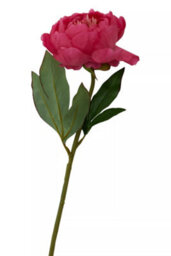 Orsina Peony Stem - 65Cm Fuchsia, Lifelike Faux Peony With Vibrant Fuchsia Petals And Green Stem, Adds Bold Colour - thumbnail 6