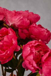 Orsina Peony Stem - 65Cm Fuchsia, Lifelike Faux Peony With Vibrant Fuchsia Petals And Green Stem, Adds Bold Colour - thumbnail 5