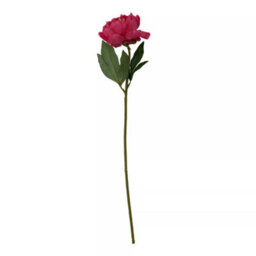 Orsina Peony Stem - 65Cm Fuchsia, Lifelike Faux Peony With Vibrant Fuchsia Petals And Green Stem, Adds Bold Colour - thumbnail 1