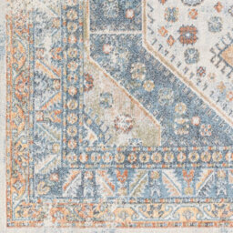 Livabliss Lillian-Washable Blue Brown Traditional Vintage Boho Living Dining Rug 66 X 115 Cm Easy Care, Non Shedding - thumbnail 7