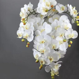 Artificial Orchid Stems, 96.5 Cm, With A Realistic Feel, Latex Phalaenopsis Orchid Branches, Artificial Flowers (White - thumbnail 8