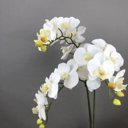 Artificial Orchid Stems, 96.5 Cm, With A Realistic Feel, Latex Phalaenopsis Orchid Branches, Artificial Flowers (White - thumbnail 9