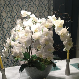 Artificial Orchid Stems, 96.5 Cm, With A Realistic Feel, Latex Phalaenopsis Orchid Branches, Artificial Flowers (White - thumbnail 5