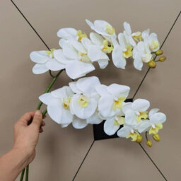Artificial Orchid Stems, 96.5 Cm, With A Realistic Feel, Latex Phalaenopsis Orchid Branches, Artificial Flowers (White - thumbnail 6