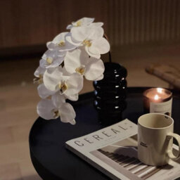 Artificial Orchid Stems, 96.5 Cm, With A Realistic Feel, Latex Phalaenopsis Orchid Branches, Artificial Flowers (White - thumbnail 7