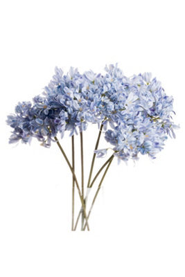 Light Blue Large Headed Agapanthus, Coastal Garden Artificial Flower - image 1