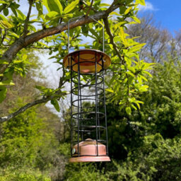 Selections Hanging Bird Feeder Suet Fat Ball Copper Style - thumbnail 5