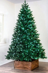 Christmas Tree World The 7Ft/210Cm Ultra Devonshire Fir Pre-Lit With Warm White/white Colour Change Leds - thumbnail 6