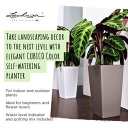41Cm Tall Planter,  Sand Brown Plastic Lechuza Cubico Color Self-Watering Planter With Water Level Indicator H41 L22 W22 Cm - thumbnail 2
