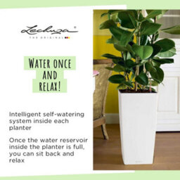 41Cm Tall Planter,  Sand Brown Plastic Lechuza Cubico Color Self-Watering Planter With Water Level Indicator H41 L22 W22 Cm - thumbnail 6