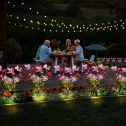 2 Pack Solar Powered Flower Lights Outdoor Garden Lawn Ornaments Purple Led 70Cm - thumbnail 4