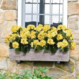 4 Pack Artificial Geraniums, Outdoor Artificial Flower Bouquet For Wedding, Garden, Indoor Decoration, Yellow - thumbnail 5