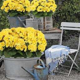 4 Pack Artificial Geraniums, Outdoor Artificial Flower Bouquet For Wedding, Garden, Indoor Decoration, Yellow - thumbnail 6