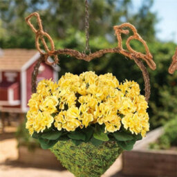 4 Pack Artificial Geraniums, Outdoor Artificial Flower Bouquet For Wedding, Garden, Indoor Decoration, Yellow - thumbnail 3