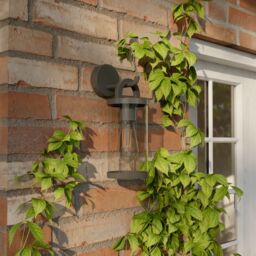 GoodHome Casterton Fixed Matt Grey Mains-Powered (Wired) Incandescent Outdoor Wall Light - thumbnail 5