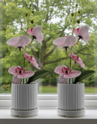 Artificial Orchid Flowers, 2 Pieces Potted Orchid Flowers Fake With Plastic Vase For Table Centerpiece Home Decor - thumbnail 2