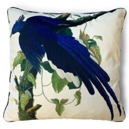 John James Audubon Columbia Jay Filled Cushion Multicoloured (55Cm X 55Cm)