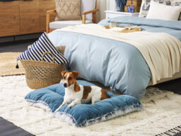 Beliani  Pet Bed Ergani Velvet Blue - thumbnail 2