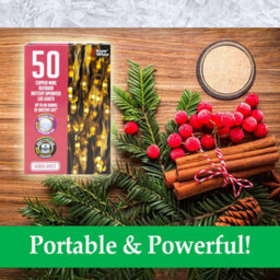 Outdoor Copper Wire Lights(50) - Warm White- Christmas Lights - thumbnail 2