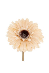 Cream Gerbera Stem Artificial Flower For Elegant Arrangements - thumbnail 1