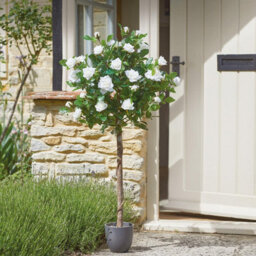 Faux Hoxton Rose Tree - Weather Resistant Home Or Garden Realistic Artificial Potted Plant - Measures H120 X 40Cm Diameter - thumbnail 1