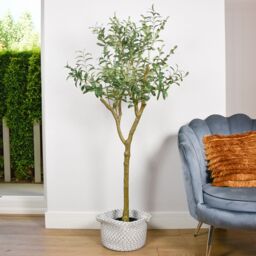 Candlelight Green 150Cm Olive Tree Artificial Plant In Black Mediterranean Plastic Pot - thumbnail 2