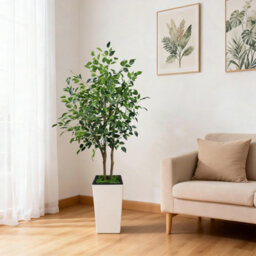 London Boutique Artificial Ficus Tree With Tall Planter, 150 Cm Faux Indoor Plant, Uv Resistant Silk Leaves, White Pot Decor - thumbnail 4