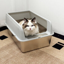 Bingopaw 60X40X27.7Cm Stainless Steel Litter Box With High Sided Lid Large For Big Cats With Scoop - thumbnail 6