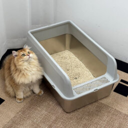 Bingopaw 60X40X27.7Cm Stainless Steel Litter Box With High Sided Lid Large For Big Cats With Scoop