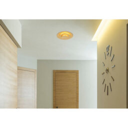 Luminosa Lighting Luminosa Heda 18Cm Integrated Led Semi Flush Ceiling Light Gold Colors Led 3000K - thumbnail 6