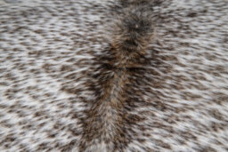 Modlux Natural Cowhide Rug, Brown And White, 100% Australian Cow Fur Skin Carpet Area Rug (Xx-Large (30-34 Sq Ft)) - thumbnail 4