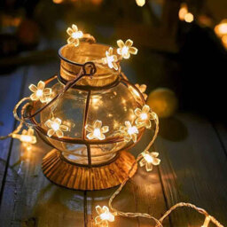 Cherry Blossom Led String Lights 3M 20Led Warm White, Indoor Party & Home Decor - thumbnail 4