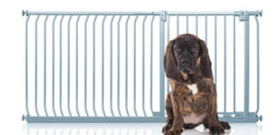 Bettacare Elite Pressure Dog Gate, 171Cm - 180Cm, Matt Grey, Pressure Fit Pet Gate For Dog And Puppy - thumbnail 1