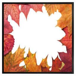 "Andrew Lee Red Autumn Border (Picutre Frame) / 24X24"" / Oak" - thumbnail 8