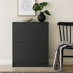 Wyld Haus Prague Matte Black Shoe Cabinet With 2 Flip-Down Doors Slim Hallway Storage - thumbnail 1