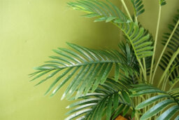 Leaf Artificial Areca Palm Tree Potted In Black Pot 110Cm Botanik - thumbnail 3