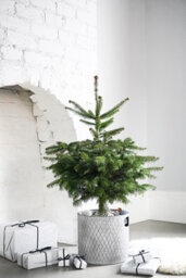 Ivyline Indoor Christmas Tree Bucket - Galvanized Steel - L28 X W28 X H28 Cm - Zinc - thumbnail 3