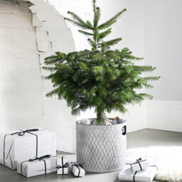 Ivyline Indoor Christmas Tree Bucket - Galvanized Steel - L28 X W28 X H28 Cm - Zinc - thumbnail 5
