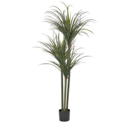 Beliani Artificial Plant Dracaena Anita 198 Cm Green