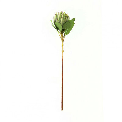 Hill Interiors Protea Protea Artificial Flower Green (One Size)