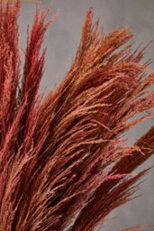 Orsina Fiori Pink Stem Pampas Grass Artificial Plant Foliage - thumbnail 5