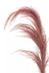 Orsina Fiori Pink Stem Pampas Grass Artificial Plant Foliage - thumbnail 8