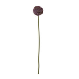 Wyld Haus Set Of 3 Purple Artificial Allium Stems - 75 Cm Tall Silk-Look Flowers - thumbnail 1