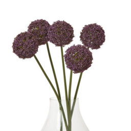 Wyld Haus Set Of 3 Purple Artificial Allium Stems - 75 Cm Tall Silk-Look Flowers - thumbnail 3