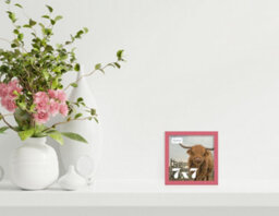 7X7 Pink Picture Frame (17.8 X 17.8Cm) Poster, Photo, Artwork, Gallery Wall Or Print - thumbnail 2