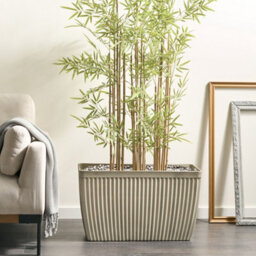 Wyld And Coco Rectangular Fibre Clay Planter 73 X 32 X 43 Cm Beige Matte - Large - thumbnail 2