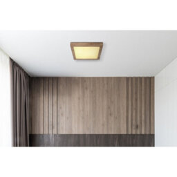 Luminosa Lighting Luminosa Xavvi Flush Ceiling Light White Matt Led 3000K - thumbnail 5