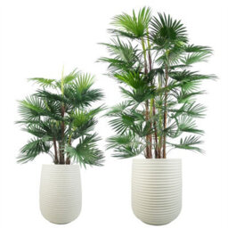Leaf 46Cm X 40Cm Mikos Extra Large Ridged Composite Planter - Stone Colour - thumbnail 7
