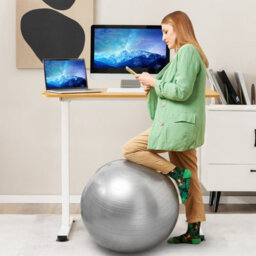 Costway 110 X 60Cm Electric Height Adjustable Standing Desk Sit To Stand Computer Workstation Table - thumbnail 5